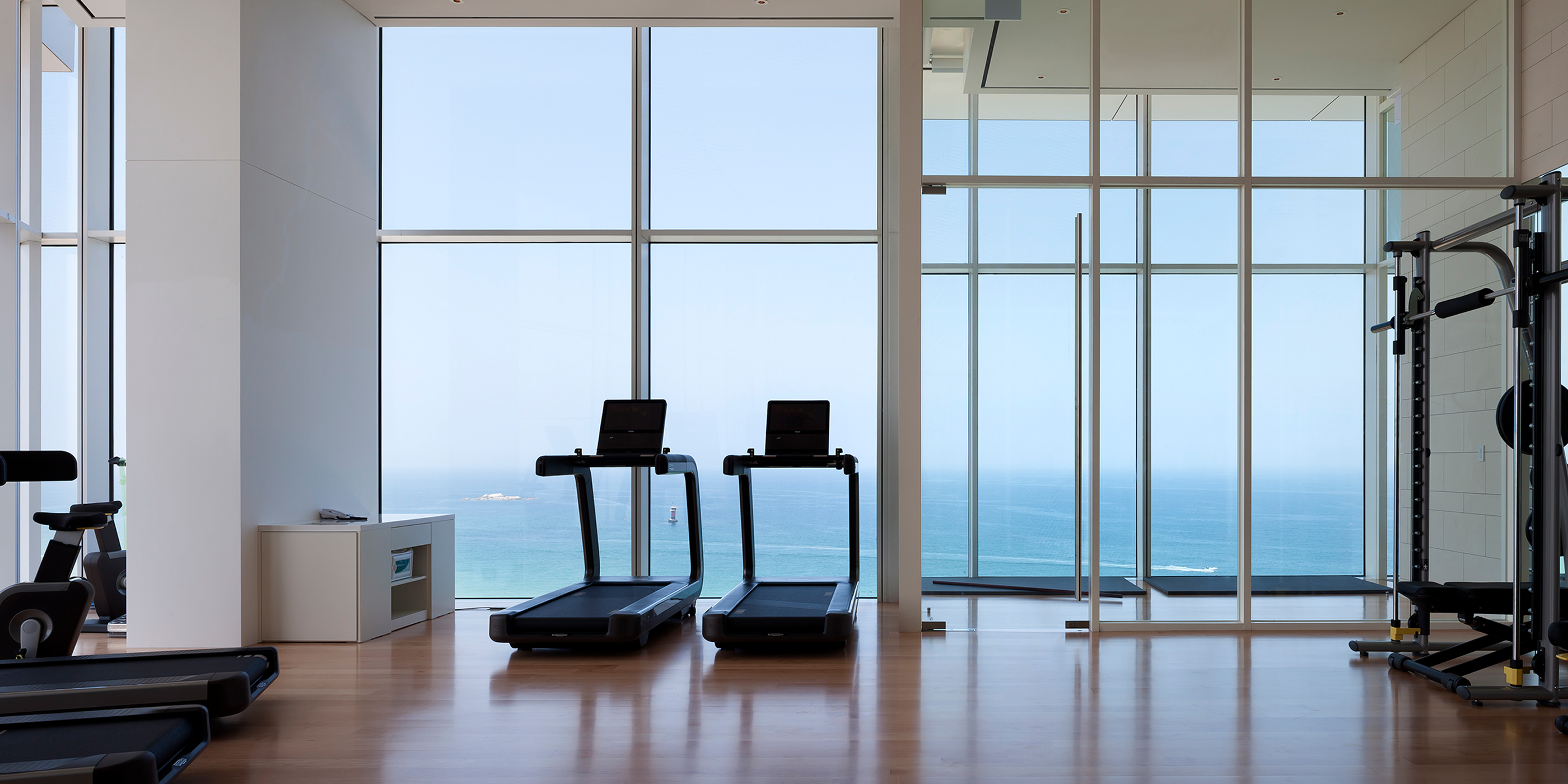 The Gym